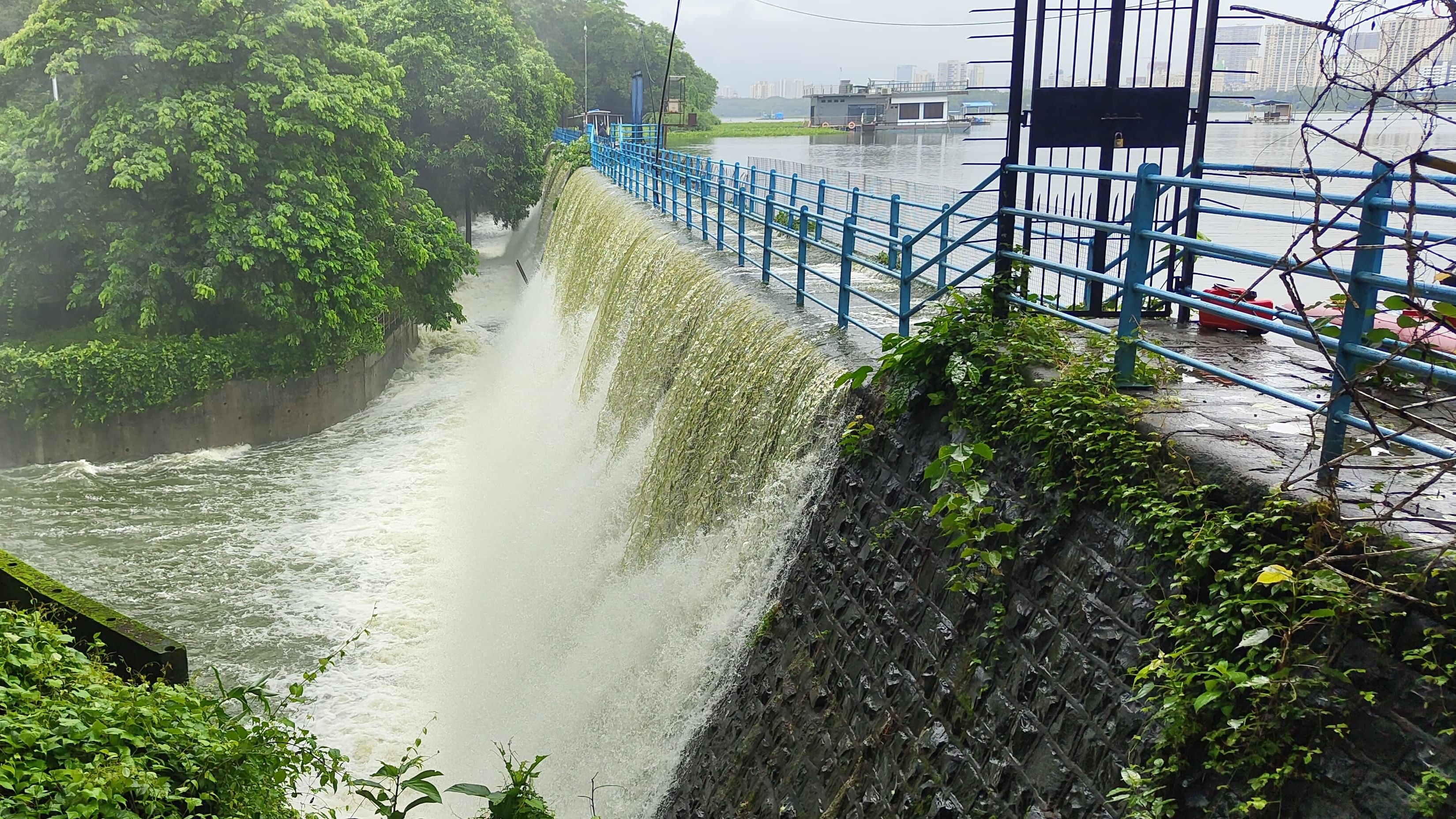 <div class="paragraphs"><p>Powai Lake</p></div>